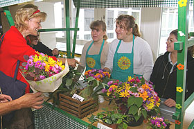 Schülerfirmenarbeit Linnea