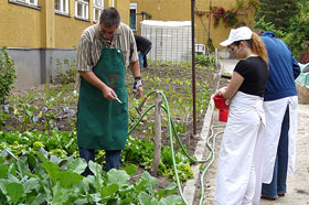 Schülerfirmenarbeit Braunis Garten