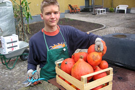 Schülerfirmenarbeit Braunis Garten