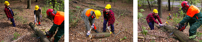 Schülerfirmenarbeit Holzwurm